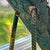 Late 20th Century Monumental Denver and Ter Borders Hand Carved Wood Crane Sculpture With Welded Rebar Feet For Sale - Image 9 of 13