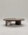 Contemporary Salvante C1 Coffee Table by Piotr Dąbrowa For Sale - Image 3 of 8