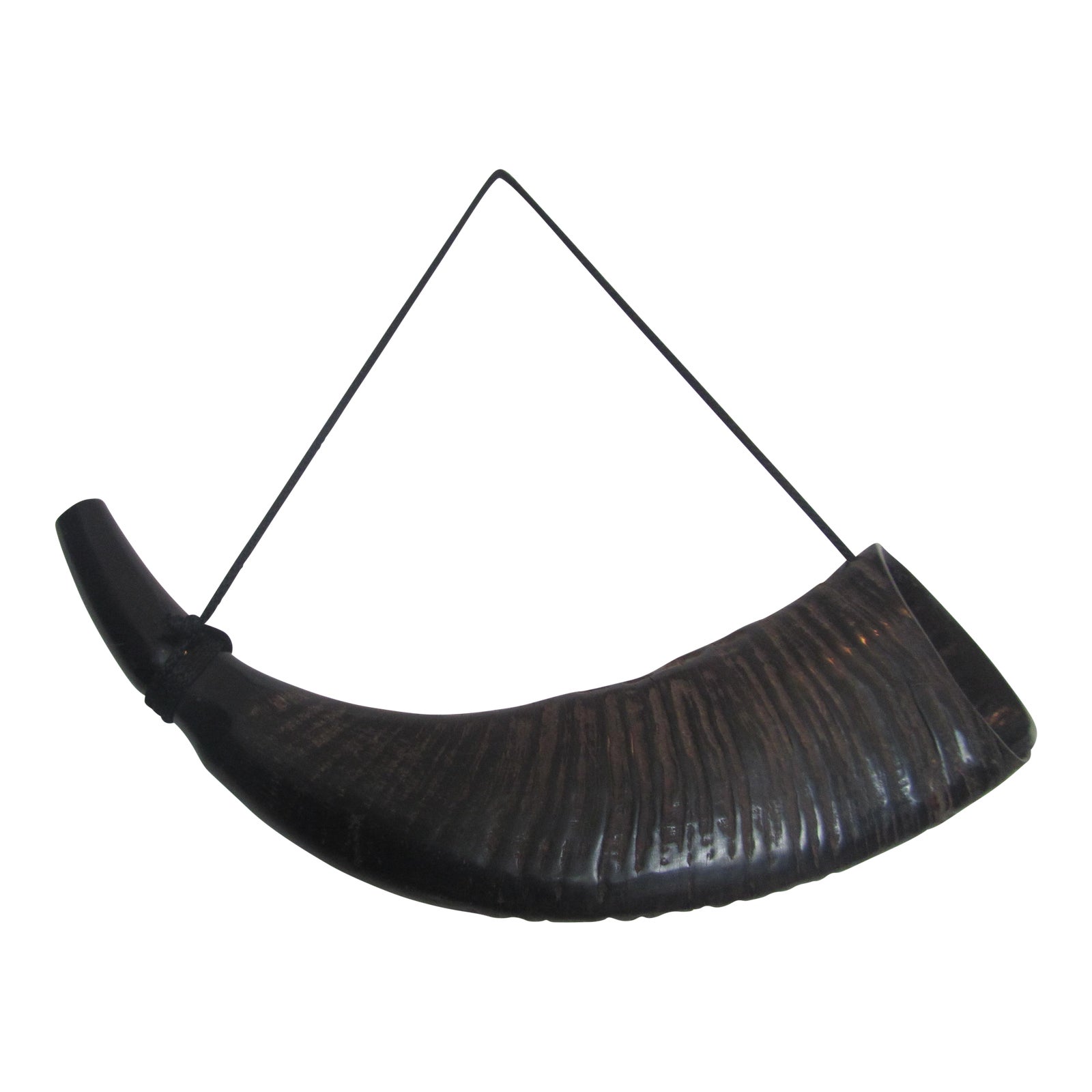 Carabao Horn Wall Art Chairish