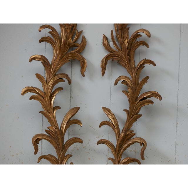 Pair of Italian 1820s Carved Giltwood Wall Fragments Depicting Scrolling Foliage For Sale - Image 4 of 9