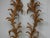 Pair of Italian 1820s Carved Giltwood Wall Fragments Depicting Scrolling Foliage For Sale - Image 4 of 9