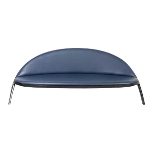 Saturno Sofa by Gastone Rinaldi for RIMA, Italy