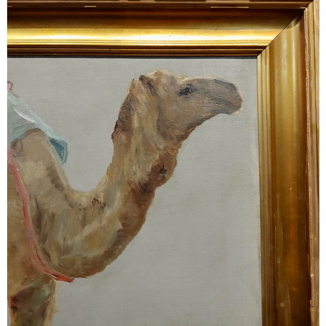 Hugo Vilfred Pedersen-Portrait of a Camel-Orientalist Oil Painting C.1900s For Sale - Image 4 of 10