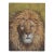 Vintage Lion Head Painting on Board For Sale
