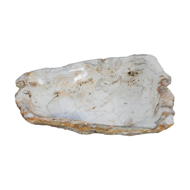 Contemporary Jasper Bowl by Xyleia Petrified Wood For Sale - Image 3 of 5