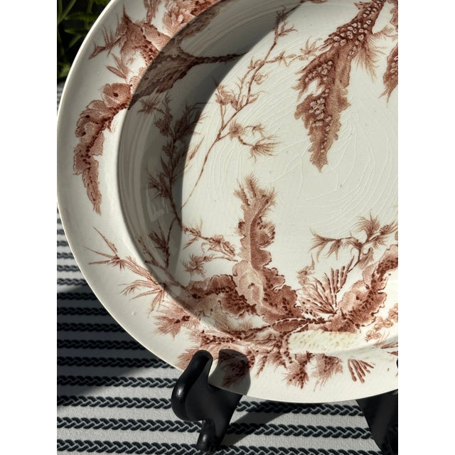Antique Wedgwood Brown "Seaweed" Transferware Soup Bowl - #8 of 8 Listed For Sale - Image 10 of 13