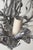 Metal Art Nouveau Handcrafted Metal Silver Wire Chandelier, Italy, 1970s For Sale - Image 7 of 18