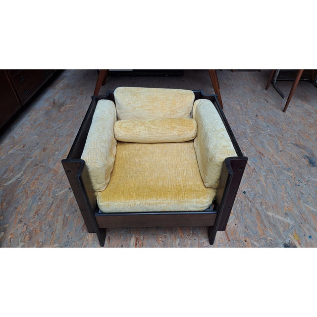 1960s Zelda Living Room Set by Sergio Asti for Poltronova, 1960s, Set of 4 For Sale - Image 5 of 13