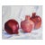 Contemporary Pomegranate Still Life Painting For Sale