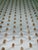 Enhance your next upholstery or decor project with this striking, high-quality textured designer fabric. Featuring a light...