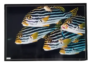 Tropical Fish Photographic Poster by Giovanni Smorti, 1980s