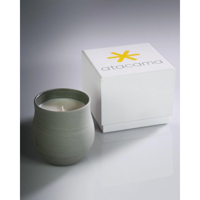Contemporary Arbol Atacama Scented Candle For Sale - Image 3 of 5