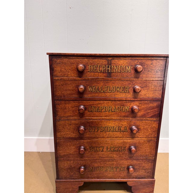 19th Century Chest of Drawers With Botanical Species For Sale In Nashville - Image 6 of 11