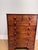 19th Century Chest of Drawers With Botanical Species For Sale In Nashville - Image 6 of 11