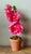 Contemporary hand-rolled paper flowers are a modern, artistic take on traditional floral arrangements. These flowers are...