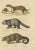 Schinz, Illustration of a Weasel, Panda and Wolverine, 1824, Hand Colored Print For Sale - Image 3 of 6