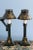 This elegant pair of early 20th-century French tole oil lamps is painted in a rich dark green, adorned with painterly gold...