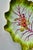 Chelsea Porcelain Leaf Form Dish, Red Anchor Period Circa 1755 For Sale In New York - Image 6 of 16