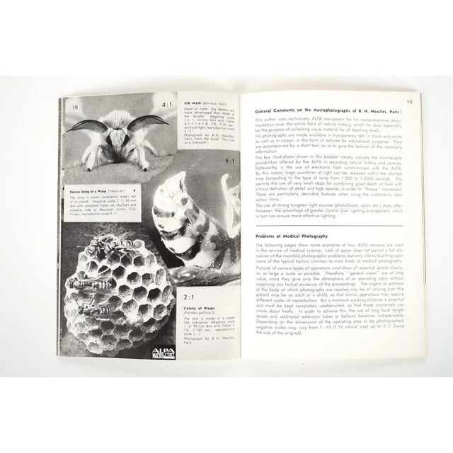 Macro & Micro Photography For Sale - Image 5 of 10