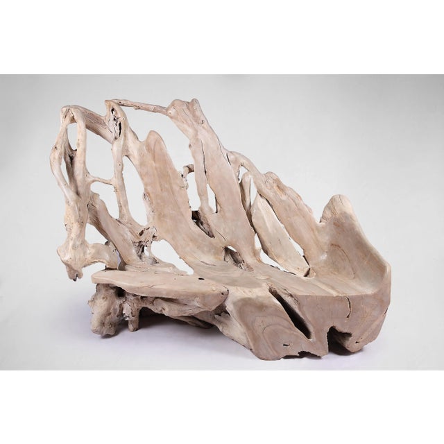 Modern Free Form Teak Root Bench 29 For Sale In Greensboro - Image 6 of 12