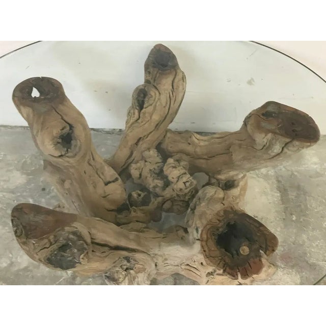 Vintage Driftwood Coffee Table 37" For Sale In West Palm - Image 6 of 7
