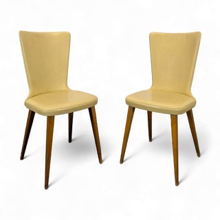 Mid-Century Skai Chairs, 1960s, Set of 2 For Sale