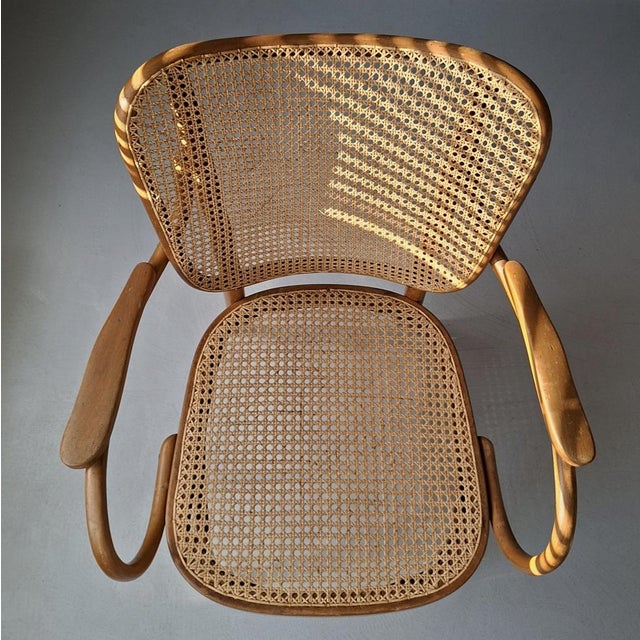 1930s No. E 821 F Chair by Eberhard Krauss for Thonet, 1930s For Sale - Image 5 of 13
