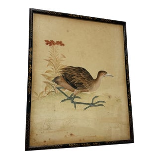 Fine Quality Chinese School Watercolor of a Marsh Bird, Circa 1800 For Sale