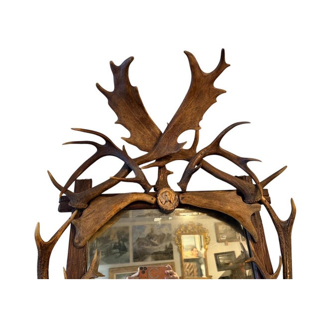 1900 - 1909 Antler Mirror German Antique Dog Rosette For Sale - Image 5 of 10