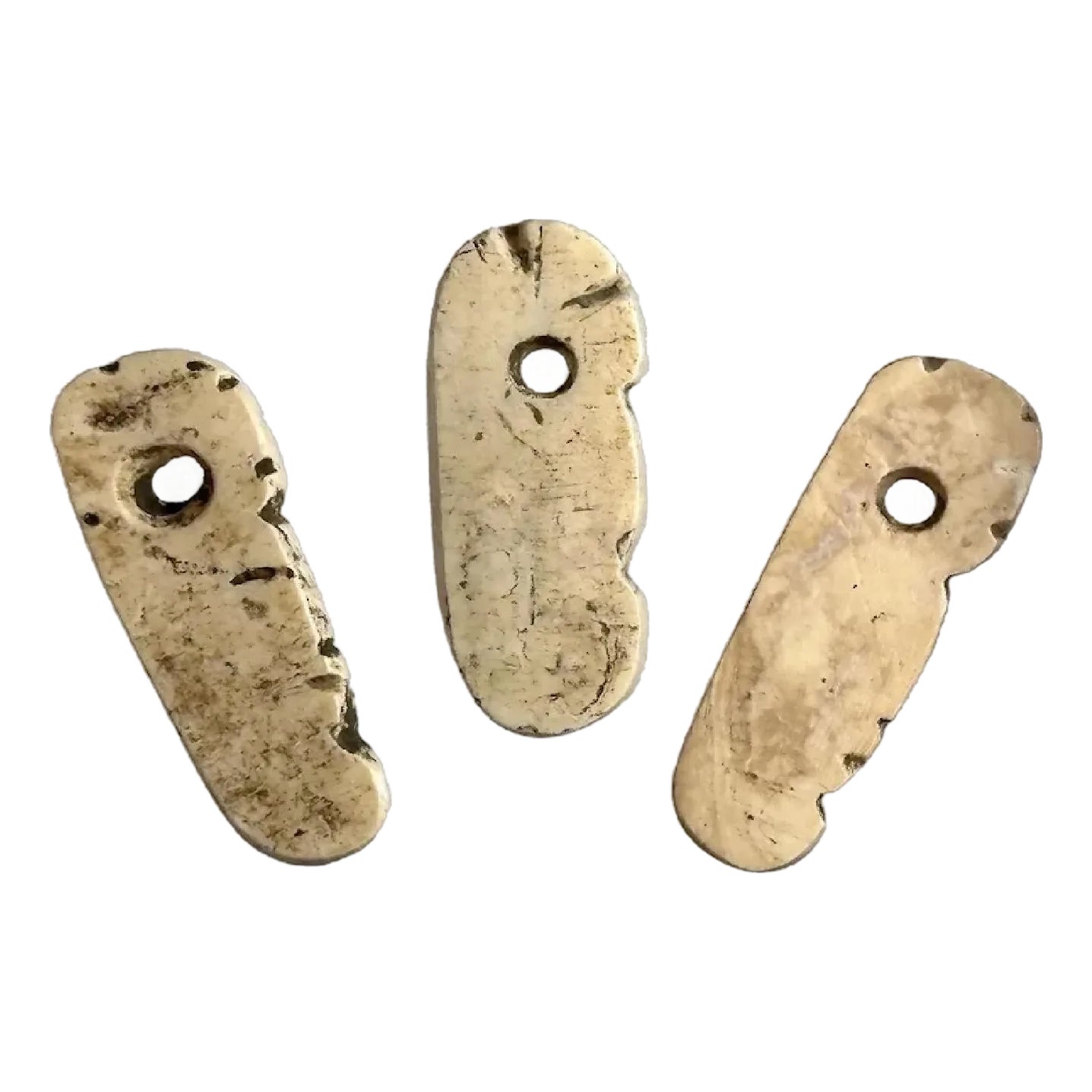 Pre-Columbian Taino Shell Amulets: Zoomorphic Zemi Beads | Chairish