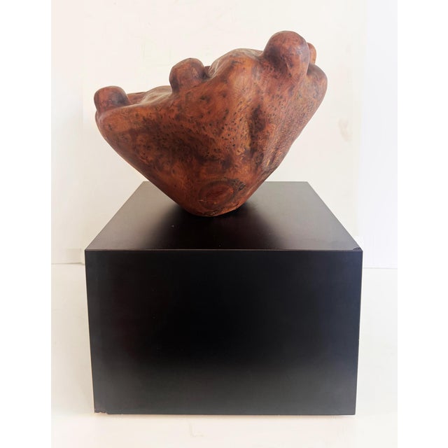 Wood Biomorphic Mid-Century Abstract Burlwood Sculpture on a Base For Sale - Image 7 of 10