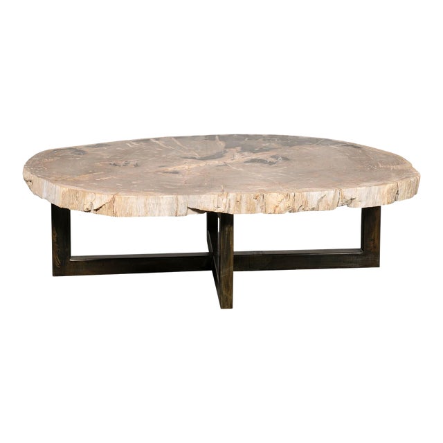 Large Oval Petrified Wood Slab Coffee Table For Sale