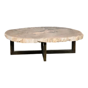 Large Oval Petrified Wood Slab Coffee Table