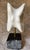2020s "All Ears" Carrara Marble Sculpture For Sale - Image 5 of 7