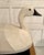 Here is a striking mid-century swan sculpture, crafted using a traditional canvas-over-wire armature technique that gives...