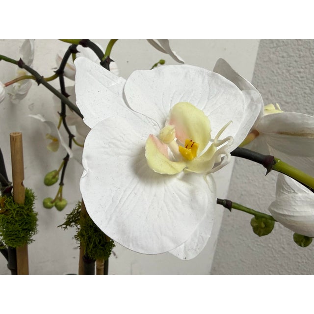 Winward Home Orchid in a Fishbowl For Sale - Image 9 of 12