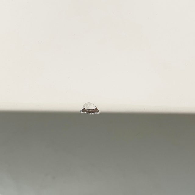 Italian White Wood and Brown Leather Sofa by Massimo and Lella Vignelli for Poltronova, 1980s For Sale - Image 15 of 18