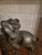 Solid Cast‑metal Ram Sculpture For Sale - Image 9 of 12