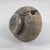 Early 20th Century Mystery Wooden Lid to Milk Container MATTER COLLECTION For Sale - Image 4 of 7