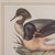 Pair of Antique Duck Pictures, Framed Wildlife Art Prints, Lithograph, Victorian For Sale - Image 9 of 12