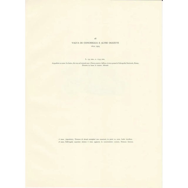 Giorgio Morandi, Shell Valve, 1924-1957, Lithograph For Sale - Image 3 of 5