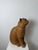 Red Montelupo Fiorentino Tuscan Artist, Sculpture of a Seated Cat, 19th Century, Terracotta For Sale - Image 8 of 18