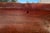 Early 19th Century Original Painted Wood Trunk W/Hand Forged Iron Hardware For Sale - Image 14 of 14