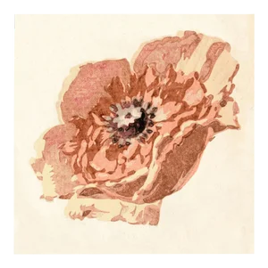Pignier, Flowerhead 2, Unframed Artwork