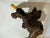 Brown Wine Bottle Holder made from Tree Root For Sale - Image 8 of 9