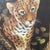 Vintage Wildlife Oil Painting on Canvas "Leopard Cub" Signed Framed For Sale - Image 4 of 12