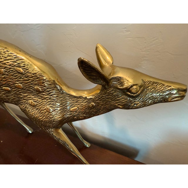Vintage Solid Brass a Pair of Large Spotted Solid Brass Deer Statues, a Buck and a Doe Decor For Sale - Image 10 of 11