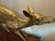 Vintage Solid Brass a Pair of Large Spotted Solid Brass Deer Statues, a Buck and a Doe Decor For Sale - Image 10 of 11