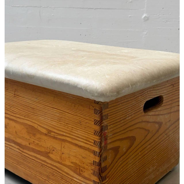 Vintage Vaulting Box from Turnmeyer, 1970s For Sale - Image 6 of 16