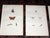 This set of twelve (12) authentic antique mid 19th century lithographs depict butterflies. Vibrant period hand color....